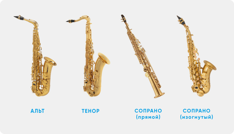 The four main types of saxophone. Evgeny Krylevsky’s online saxophone course